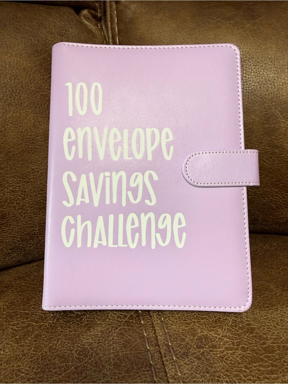 100 Envelope Savings Challenge Binder - Light Pink